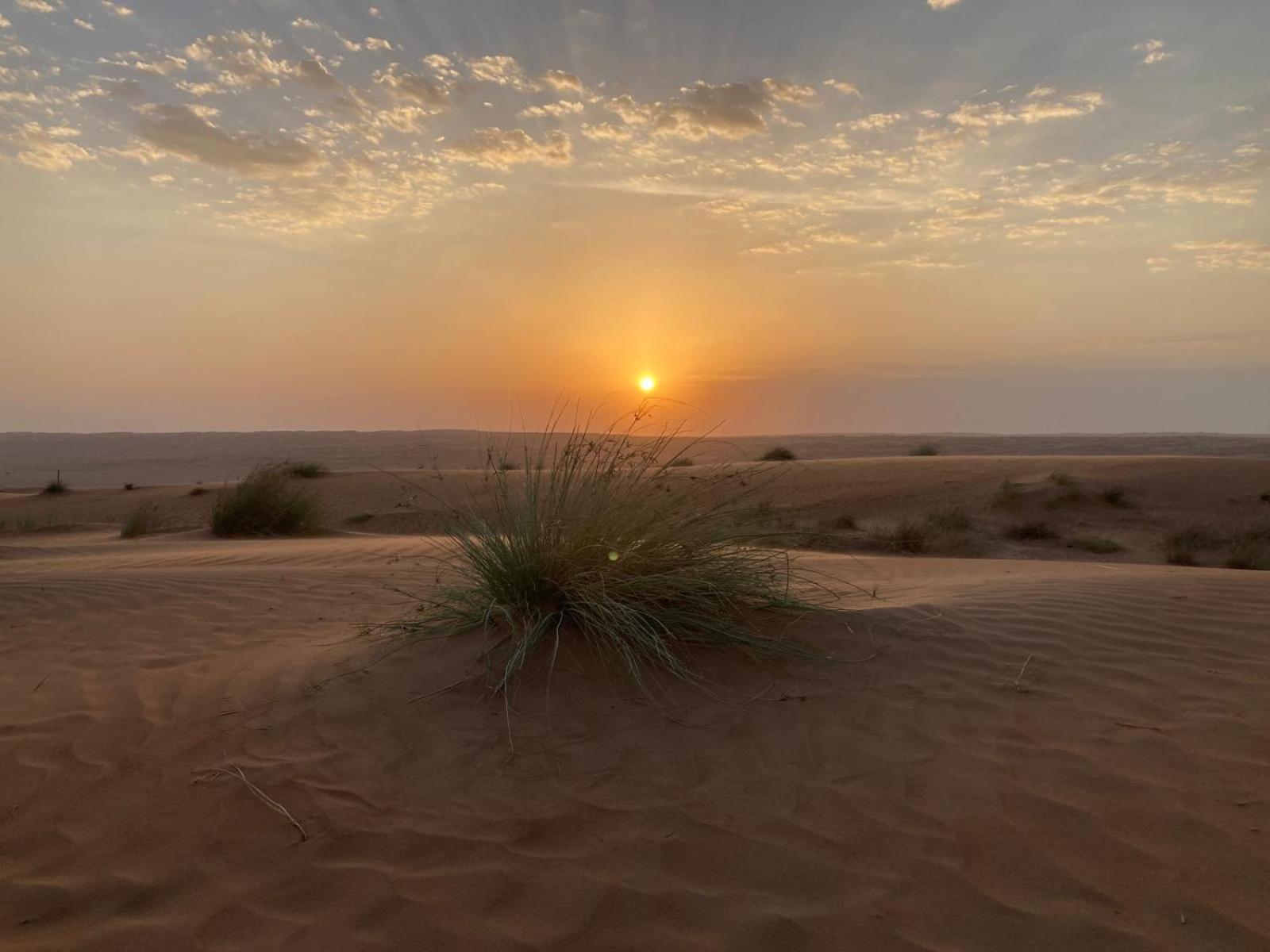 Desert Moments Camp Al Wāşil Екстериор снимка